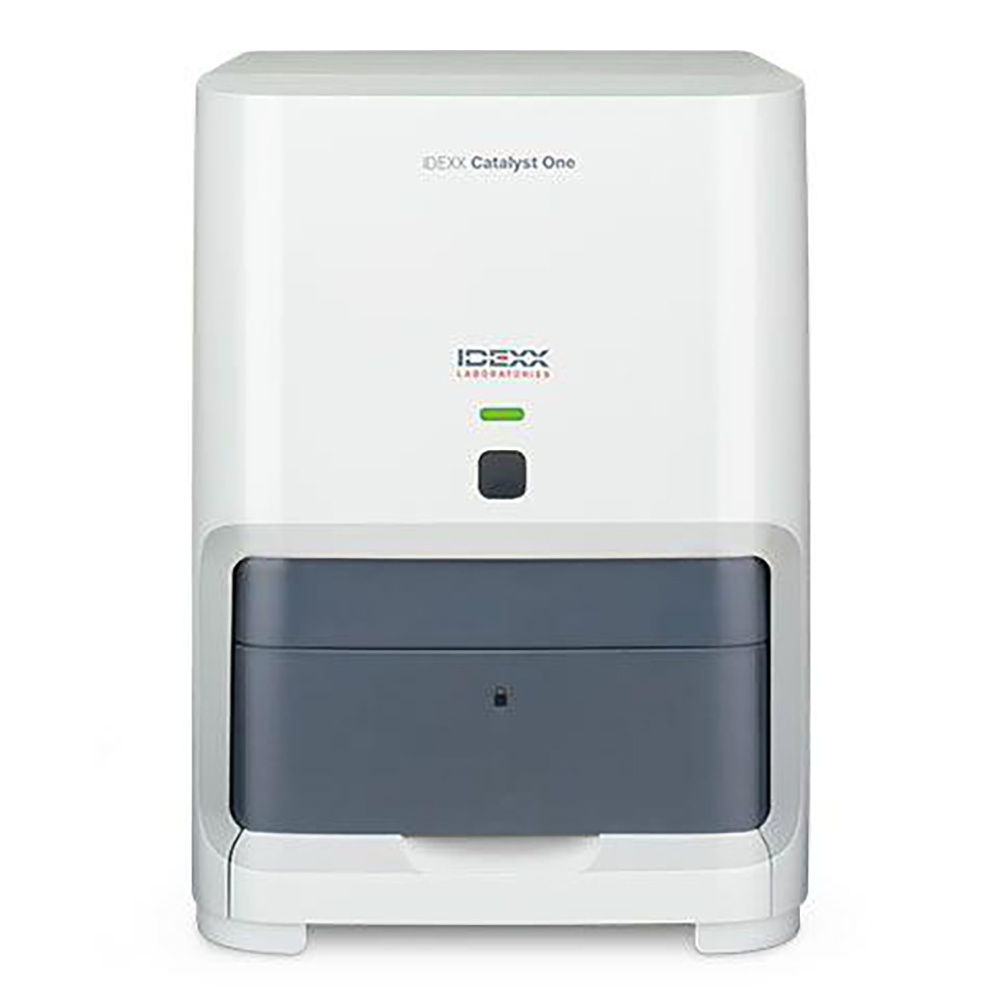 WhatsApp Image 2025-04-03 at 6.15.52 PM (2)