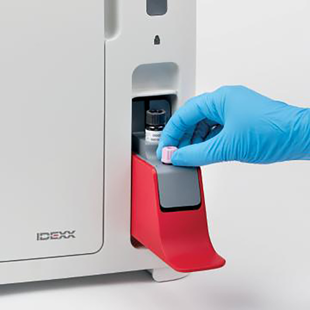 WhatsApp Image 2025-04-03 at 6.15.52 PM