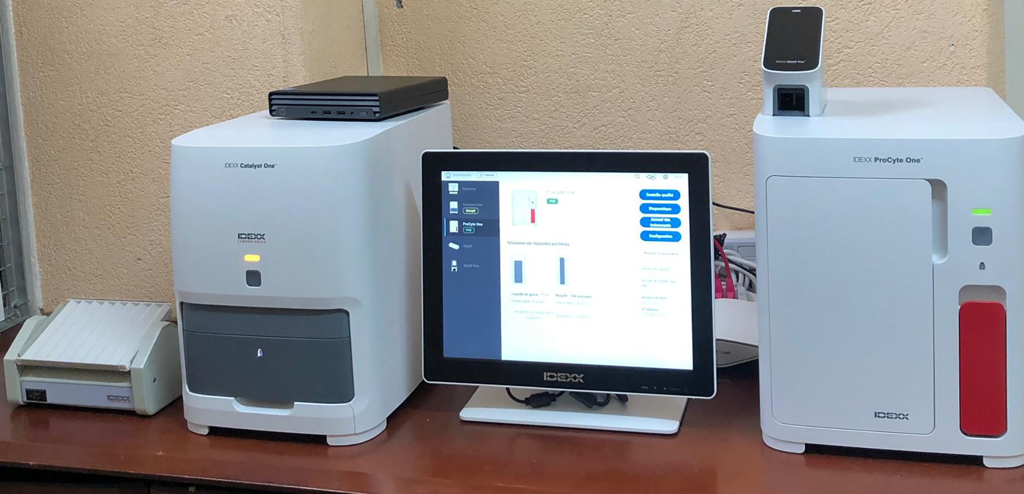 WhatsApp Image 2025-04-03 at 6.16.41 PM