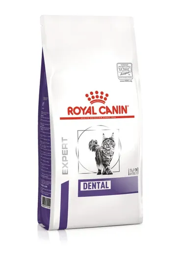 Royal Canin Dental — pour chats (visuel indicatif du produit)