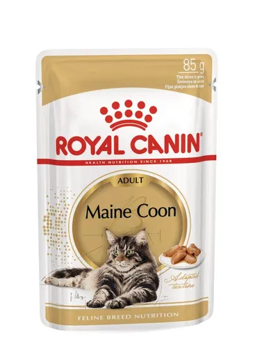 Royal Canin Maine Coon — pour chats (visuel indicatif du produit)