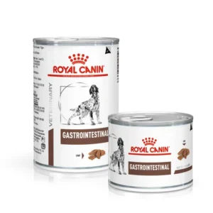 Royal Canin Gastrointestinal — pour chiens (visuel indicatif du produit)