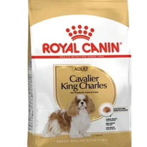 Royal Canin Cavalier King Charles Adult — pour chiens (visuel indicatif du produit)