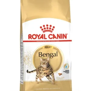 Royal Canin Bengal Adult — pour chats (visuel indicatif du produit)