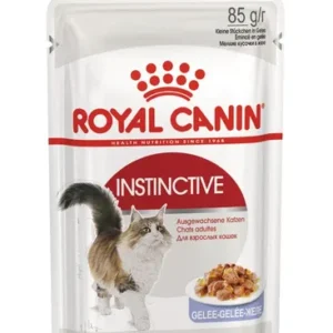 Royal Canin Instinctive Jelly — pour chats (visuel indicatif du produit)