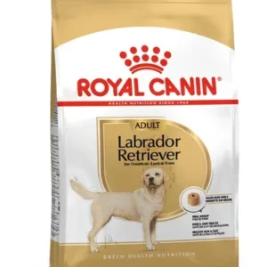 Royal Canin Labrador Retriever Adult — pour chiens (visuel indicatif du produit)