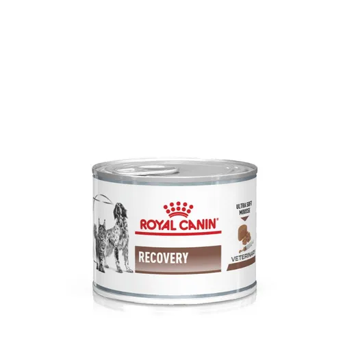 Royal Canin Recovery — pour chiens (visuel indicatif du produit)
