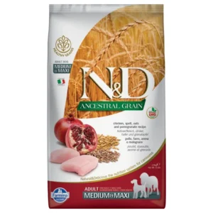 Farmina N&D Ancestral Grain Adult Medium & Maxi poulet, grenade pour chien — pour chiens (visuel indicatif du produit)