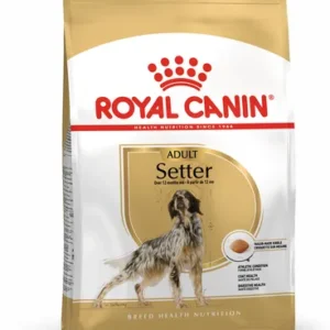 Royal Canin Setter Adult — pour chiens (visuel indicatif du produit)