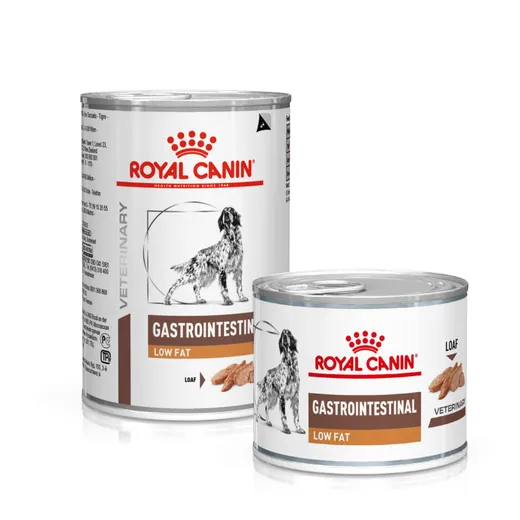 Royal Canin Gastrointestinal Low Fat — pour chiens (visuel indicatif du produit)