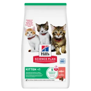 Hill’s Science Plan Kitten Salmon Dry — pour chats (visuel indicatif du produit)