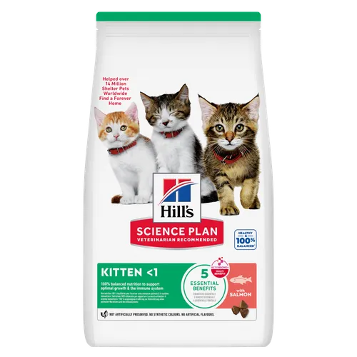 Hill’s Science Plan Kitten Salmon Dry — pour chats (visuel indicatif du produit)