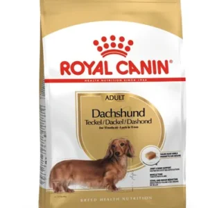 Royal Canin Dachshund Adult — pour chiens (visuel indicatif du produit)