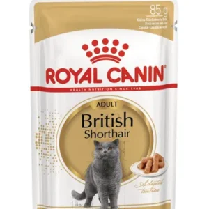 Royal Canin British Shorthair — pour chats (visuel indicatif du produit)