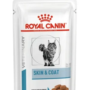 Royal Canin Skin & Coat — pour chats (visuel indicatif du produit)