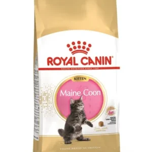 Royal Canin Maine Coon Kitten — pour chats (visuel indicatif du produit)