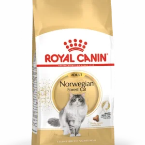 Royal Canin Norwegian Forest Cat Adult — pour chats (visuel indicatif du produit)
