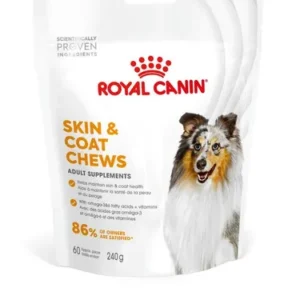 Royal Canin Skin & Coat Chews — pour chiens (visuel indicatif du produit)