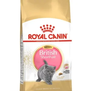 Royal Canin British Shorthair Kitten — pour chats (visuel indicatif du produit)