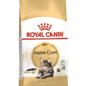 Royal Canin Maine Coon Adult — pour chats (visuel indicatif du produit)